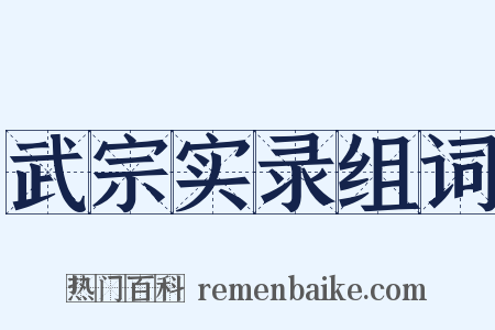 武宗实录组词是什么意思的图片